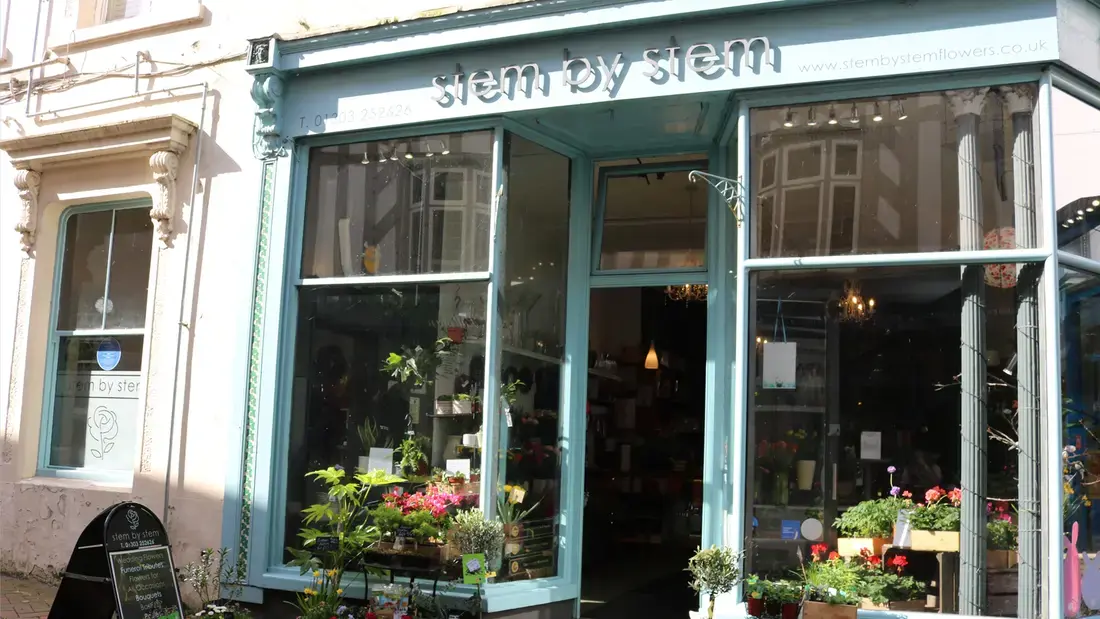 stem-by-stem